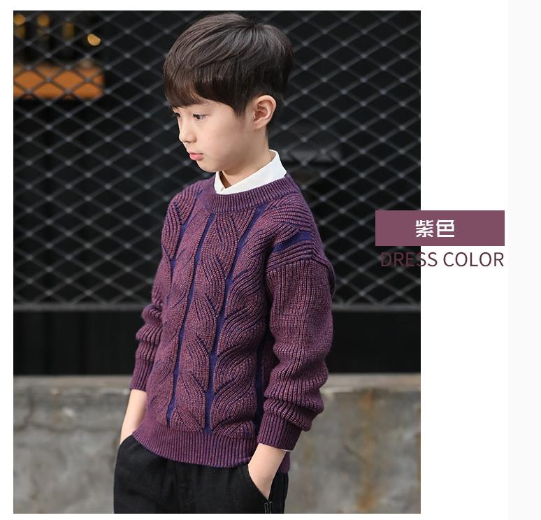 Chłopca sweter jesień zima strój żart zagęszczony okrągły kołnierz pokrywa hea: FIOLETOWY / 4 t