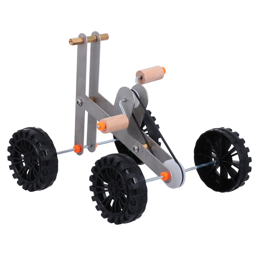Vogel Intelligenz Ausbildung Papagei Fahrrad Pädagogisches Vogel Fuß Kralle