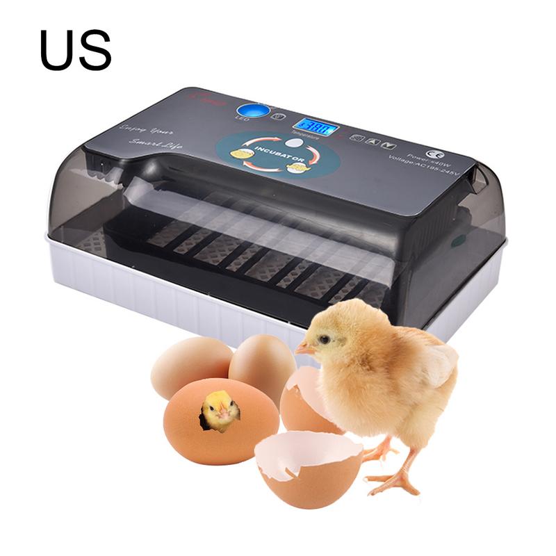 Automatic egg incubator automatic brooder Intelligent Digital Egg turning over incubators 12 eggs hatching For Chicken Poultry: with US plug
