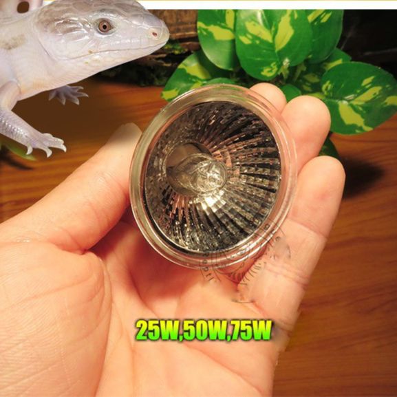 Coospider Reptile Pets Heating Lamp UV Light UVA+UVB 3.0 Turtle Basking Lampe Tungsten Halogen Fit E27 Base 110v220v Pack of 3