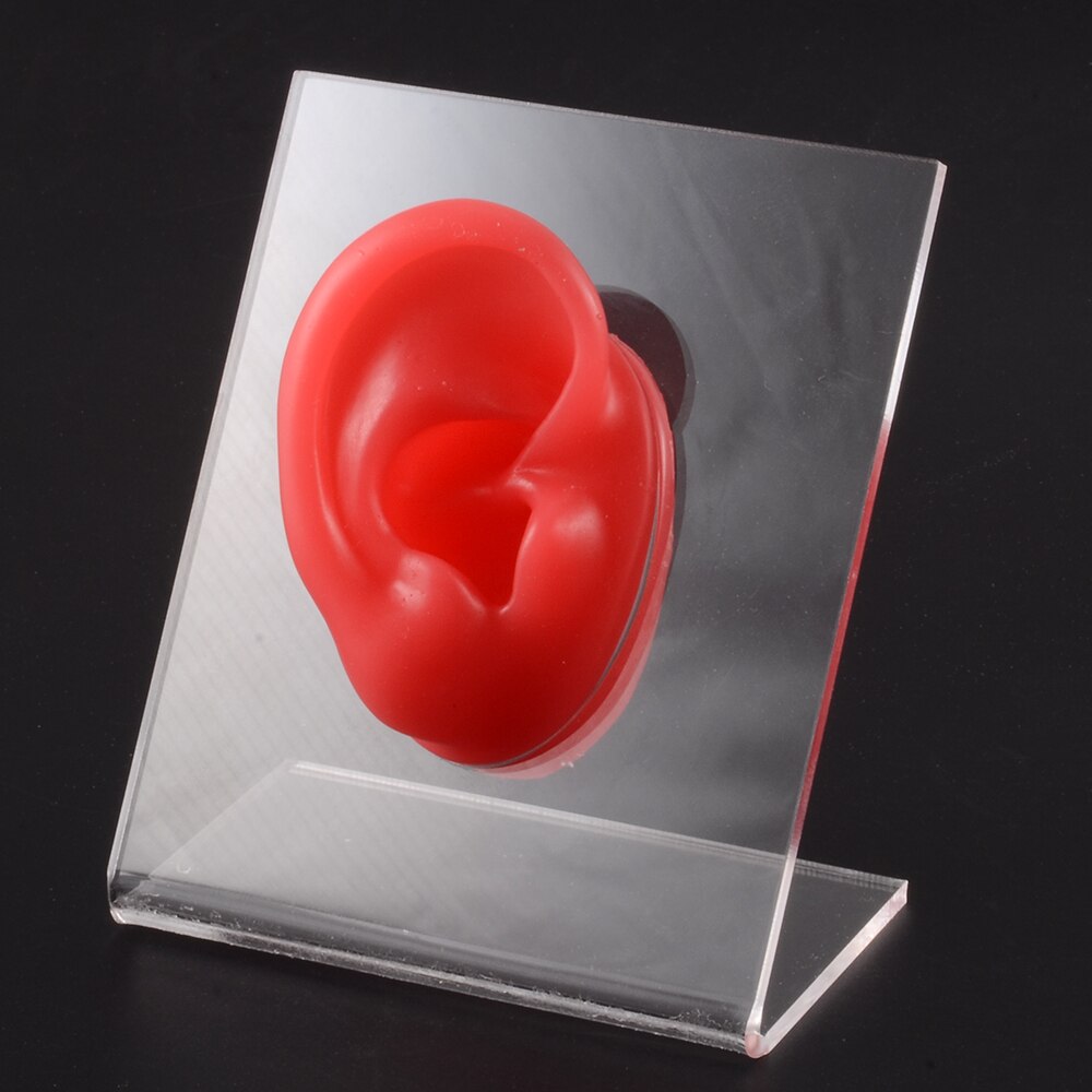 Modello di naso dell&#39;orecchio in Silicone con bordo trasparente pratica professionale piercing strumenti orecchini orecchini a bottone Display può essere riutilizzato gioielli: Red Right