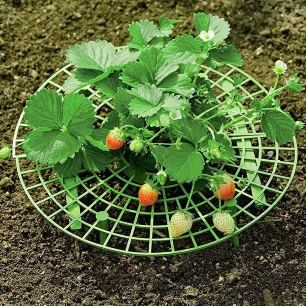 5 stk / lot jordbær stativ rammeholder altan plantestativ frugt support plante blomst klatring vin søjle havearbejde stativ