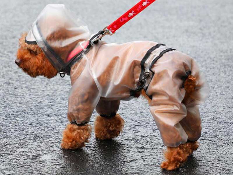 Hunde regnfrakk hette vanntett jakke kjæledyr jumpsuit gjennomsiktige klær til små mellomstore hunder bamse chihuahua doggyzstyle