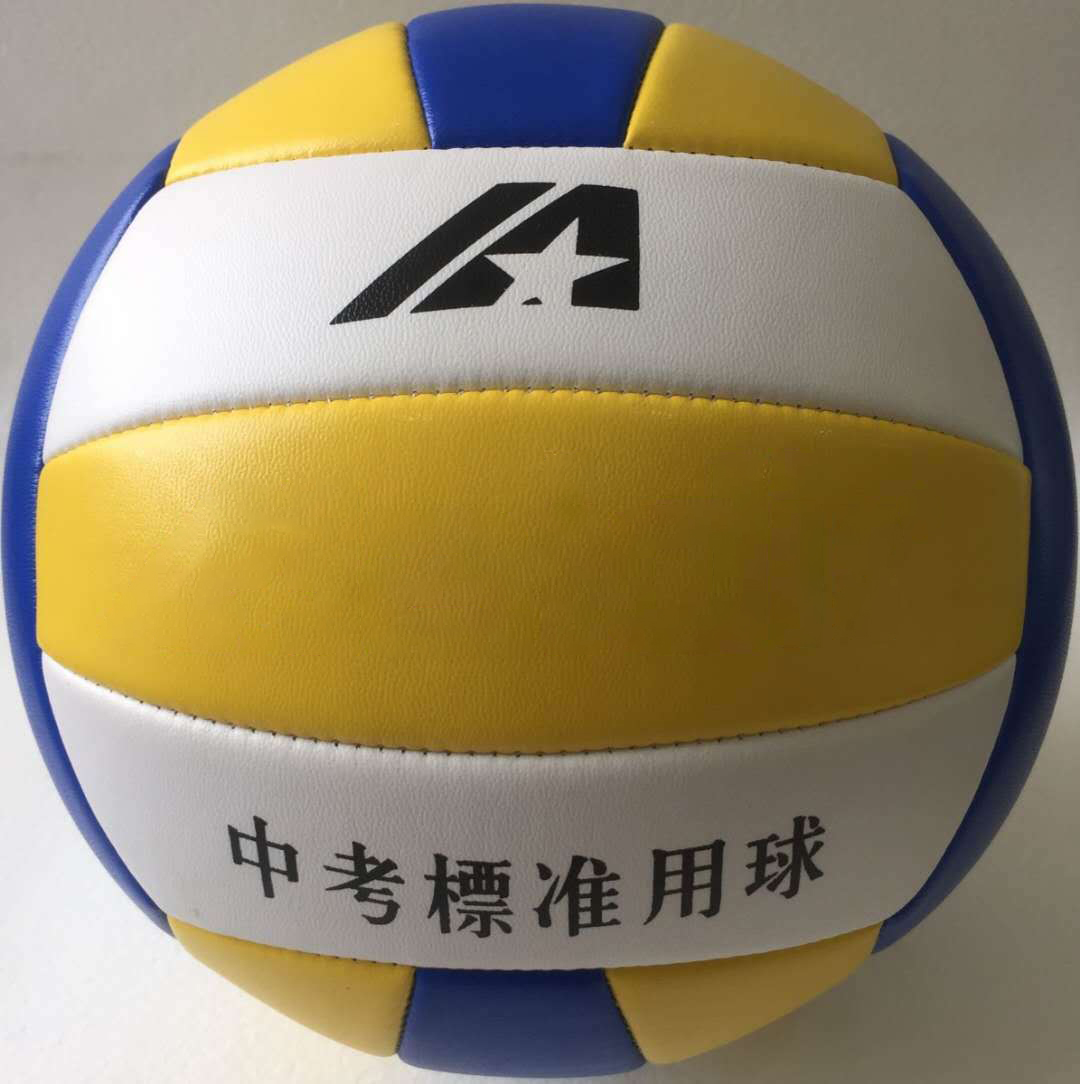 Runleaps Volleybal Officiële Maat 5 Bal Waterdicht... – Vicedeal