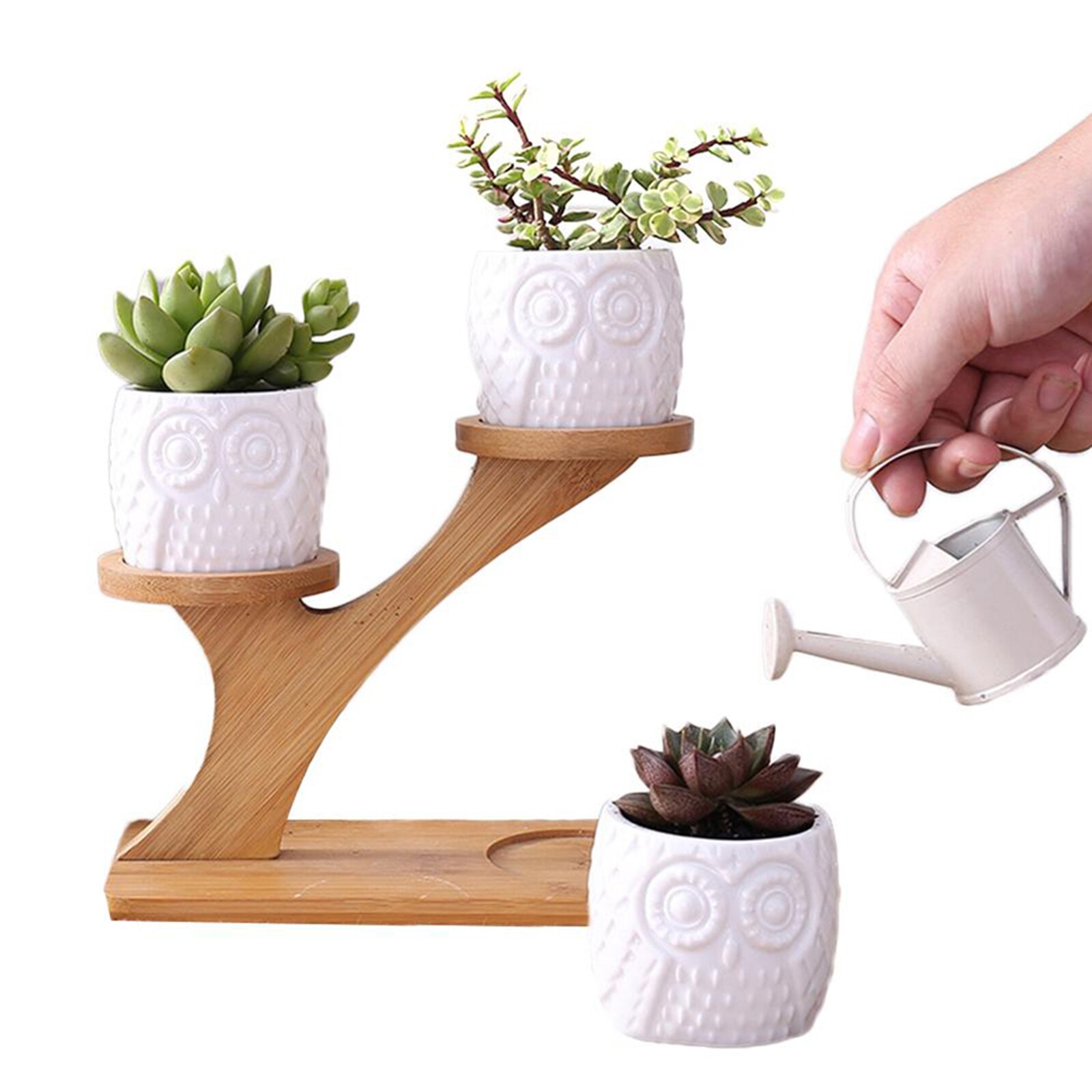 Succulent Pot Mini Cactus Pot Desk Garden Wooden Stand Holder 3 Tier White Ceramic Vase Home Office Plant Garden Pots