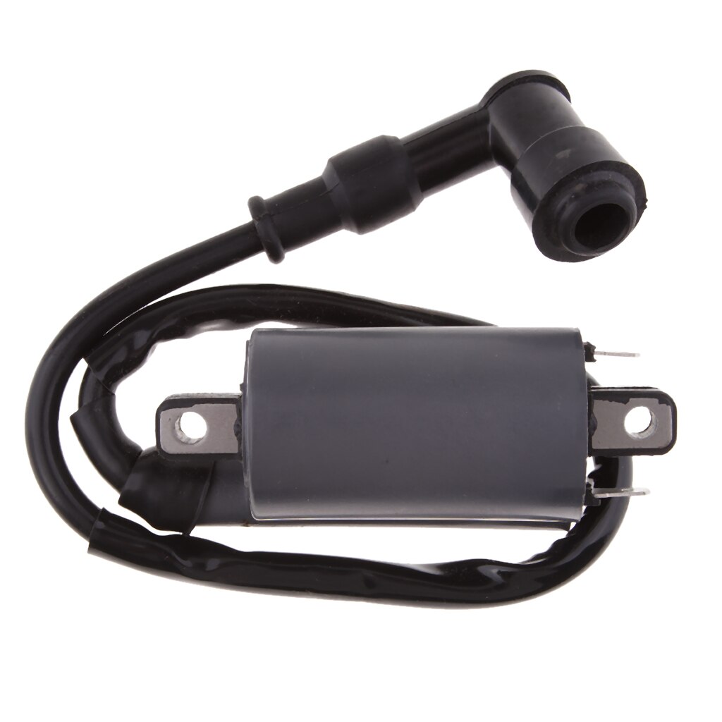 Hoge Prestaties Motorfiets Bobine Voor Buyang Feishen Linhai 260 260cc 300cc D300 G300 Atv