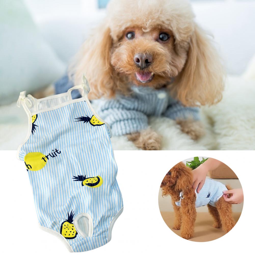 Pantalon court confortable pour animaux de compagnie, à utiliser en extérieur, couche-culotte élastique, sanitaire pour animaux de compagnie