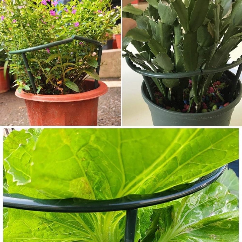 Plant Support Pile Garden Semicircle Flower Stand Cage Plant Grow Fixing Rod Vine Climbing Bracket Stake Holder Bonsai Tool