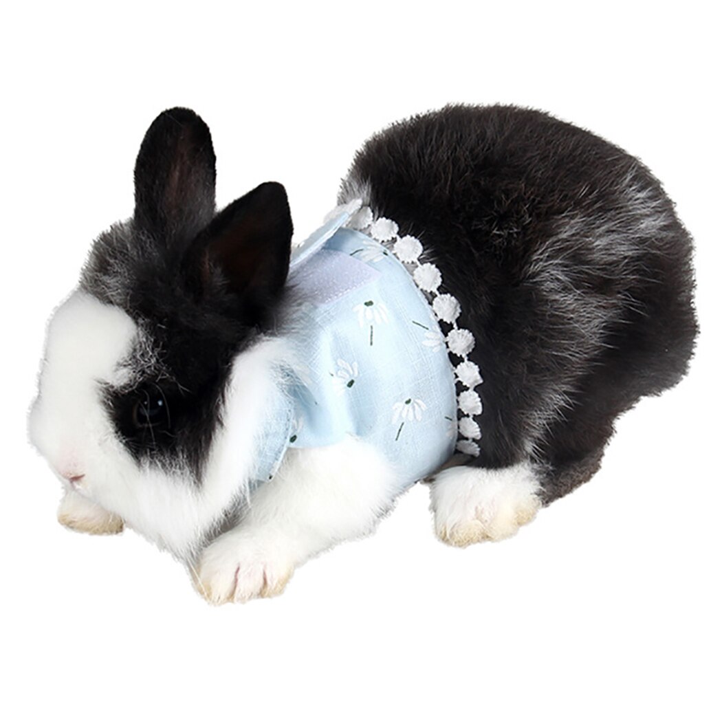Kæde snor sele sæt sød justerbar lille dyr sele med gå i snor til hamster cobaya små kaniner: Blå