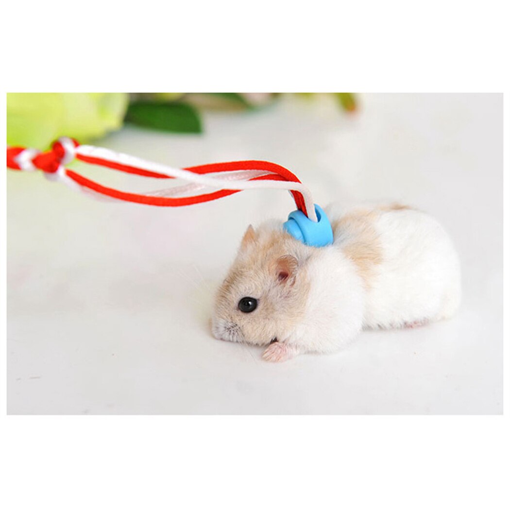 Smycz małych zwierząt szelki chomika wielofunkcyjne śliczne małe zwierzę smycz dla fretka wiewiórka chomiki na zewnątrz klatki piersiowej ołowiu liny