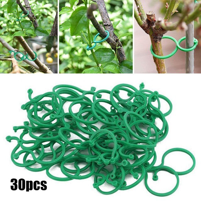 Bastones de bambú para plantas, Estaca de bambú para flores, palos de repuesto profesionales, Clips para plantas, arreglo de flores, suministros de jardín: B-30pcs