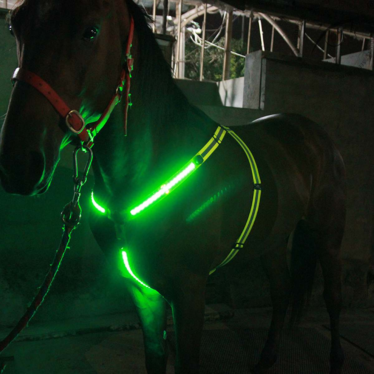 3 ledet sele hest brystplade nylon bryst krave bælte lys nat synlig sikker ridning udstyr bælte justerbar: Grøn