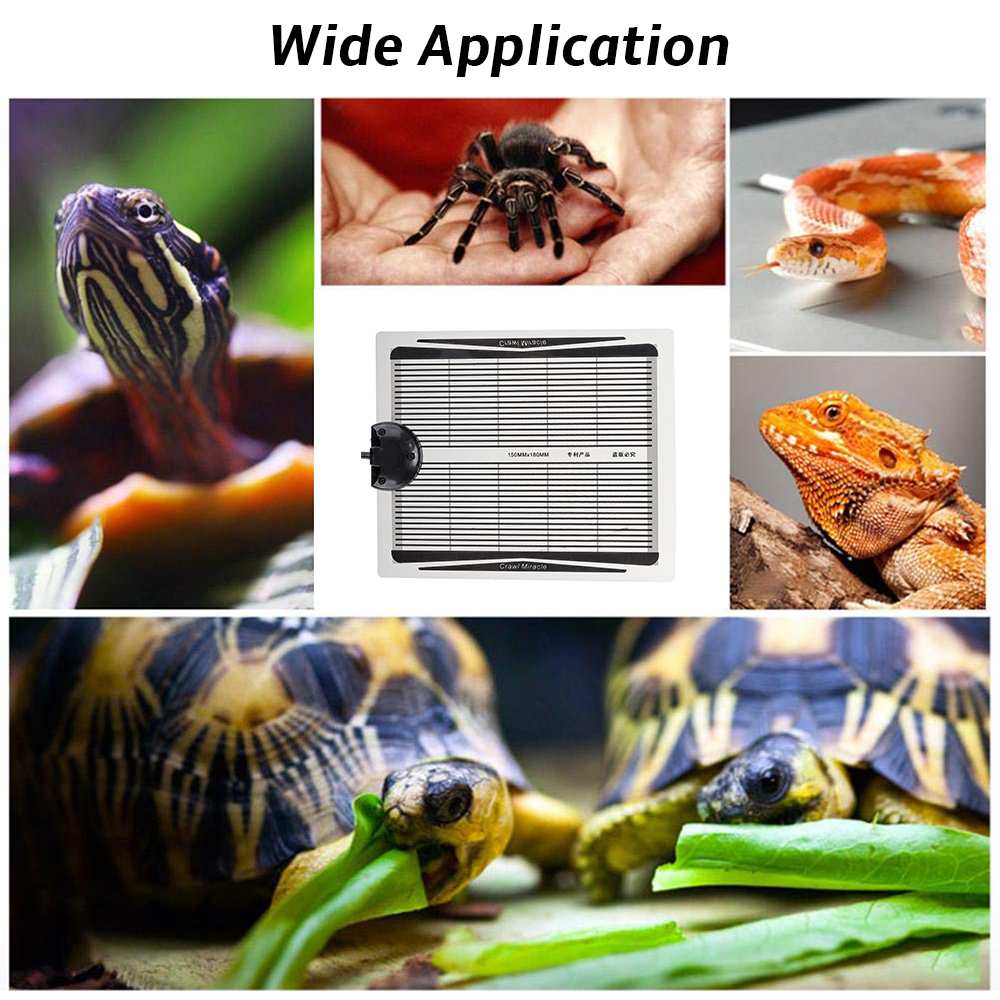 Tapis chauffant pour reptiles, 5W/15W/25W/35W, contrôleur de température réglable, coussin chauffant pour animaux de compagnie, pour tortue, serpent, lézard, prise AU/US/EU