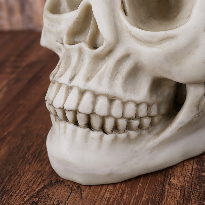 Arte de resina cráneo humano réplica enseñanza modelo realista 1:1 tamaño adulto