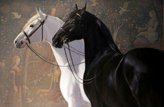 Retro Black White High Blood Horse Animal Canvas Painting Posters and Prints Wall Art Pictures Living Room Home Decor Cuadros: 30X45cm Unframed