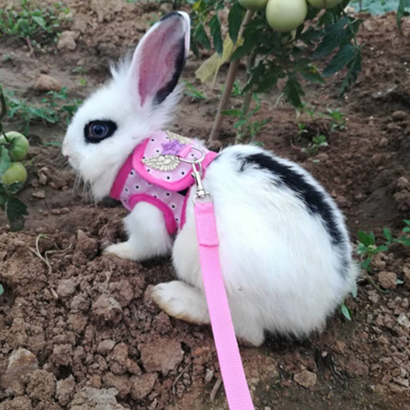Arnés de conejo ajustable con correa, chaleco Bunnie forFerret para mascotas pequeñas, multicolor, disfraz para mascotas, ropa para mascotas