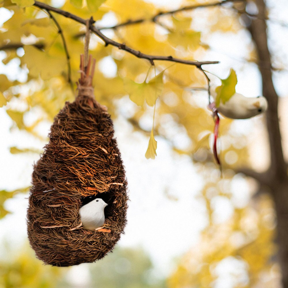 Fait main nid d'oiseau gourde en forme d'oiseau maison jardin décoration vert foncé