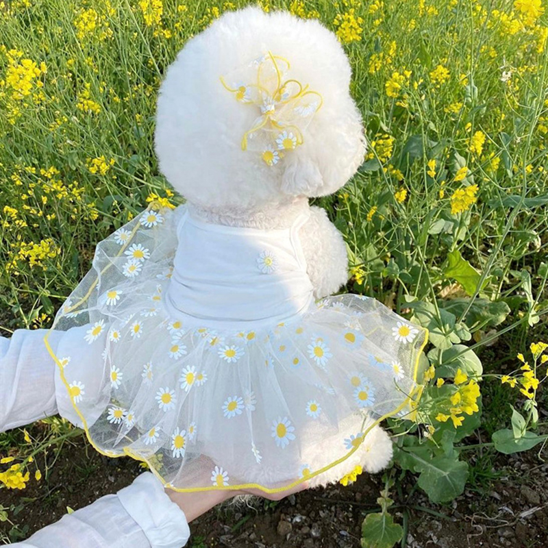 Hundhängslen kjol sommar jordgubbsklänning för hundar husdjurskläder hundkläder katter valptryck söta hundar nätklänning husdjurstillbehör