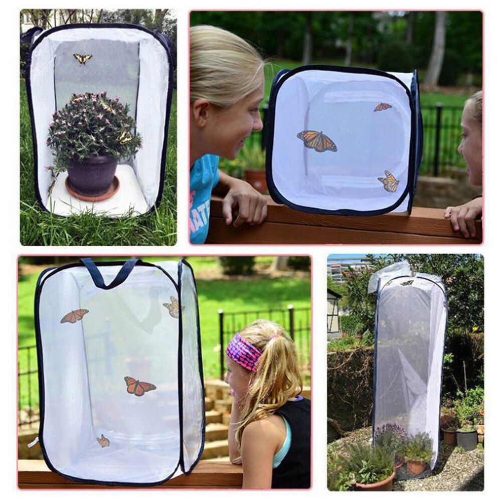 Folding Insect Mesh Cage Butterfly Dragonfly Breathable Habitat Cage Cylindrical Breeding Feeding Container Catching Cage