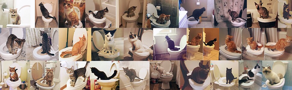 Citikitty Gezien Op Shark Tank Cat Toilet Training Kit