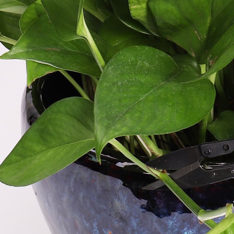 Bonsai Pruning Scissors, U Scissors Mini Garden Clippers Pruning Shears for Bud and Leaves Trimmer 12 PCS