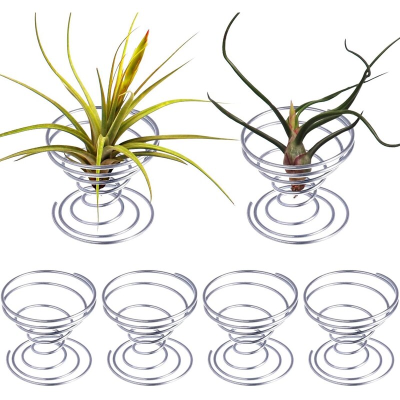 6 Pieces Air Plant Stand Airplant Container Tillandsia Holder Stainless Steel Plant Display