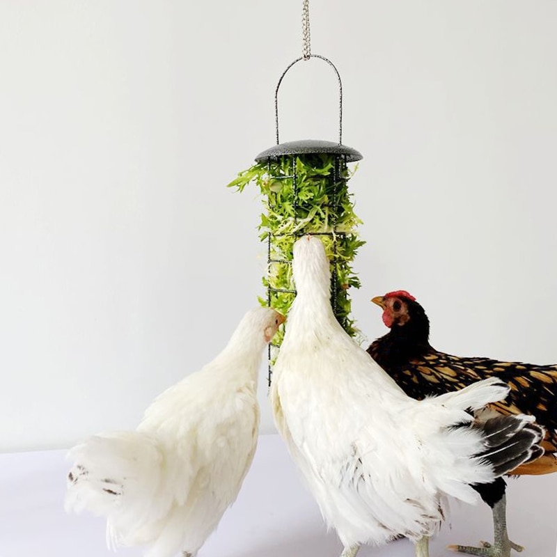 Cesta para vegetales y frutas, alimentador de pollo, para colgar, caja para tratar la alimentación de gallinas, 667B