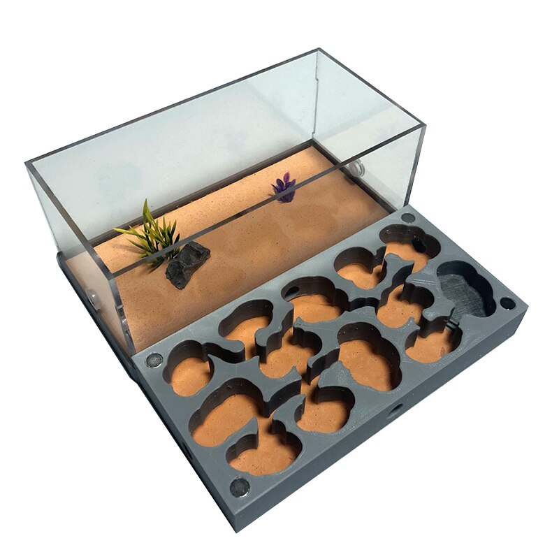 3D Acryl Ant Farm Ecological Flat Ant Nest with Feeding Area Concrete Ant House Pet Anthill Workshop Moisturizing Water Pool