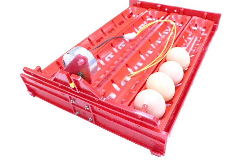 Accesorios para incubadora de huevos, bandeja para colocar huevos, pato, Ganso, aves de corral, Motor de 110V/220V/DC12V, novedad, 32-40 juegos, 1 Juego