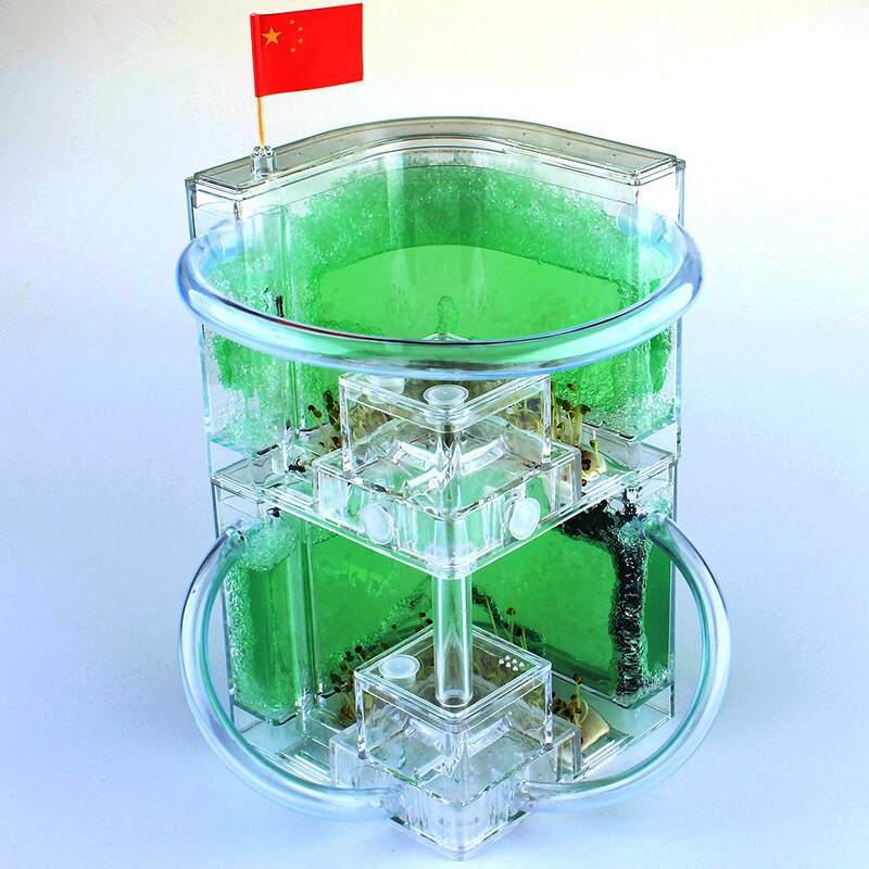Double layer DIY Acrylic Ant Farm Underground Ant Nest Ant House with Feeding Area Pet Anthill Workshop Castle: Green