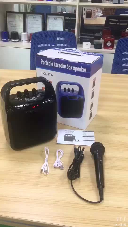 Portable Bluetooth PA System Speaker - 10 Inch Line Array Karaoke Party Amplifier