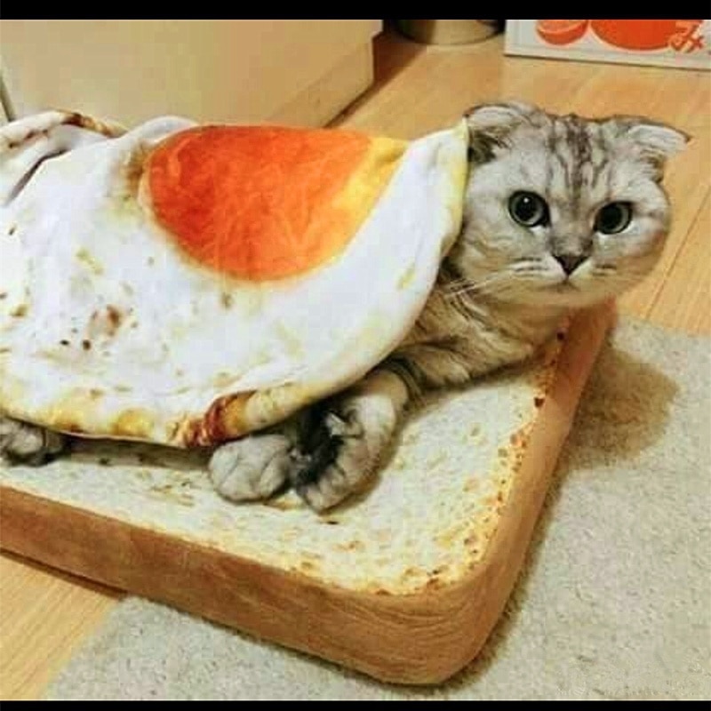 Cute Omelette Pet Blankets Puppy Cat Short Plush Pet Mat Durable Warm Poached Eggs Blanket Mats For Small Dog And Cat