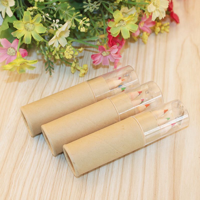 6 Paint Colored Pencils, Pre- Sharpened, HB Core Wooden Colored Pencils with Sharpener Ideal for Drawing Art, Sketching, Shading