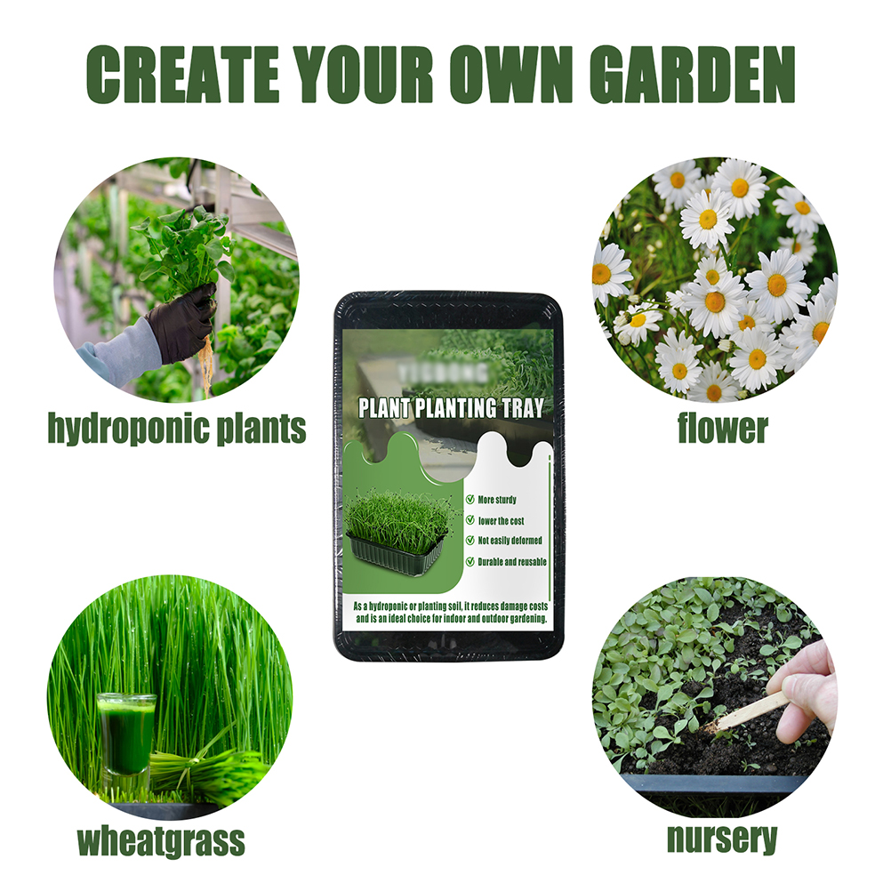 Plant Seedlings Tray Garden Growing Plate Planting Sprout Trays Seed Base Breeding Box Plant Germination Nursery Tray