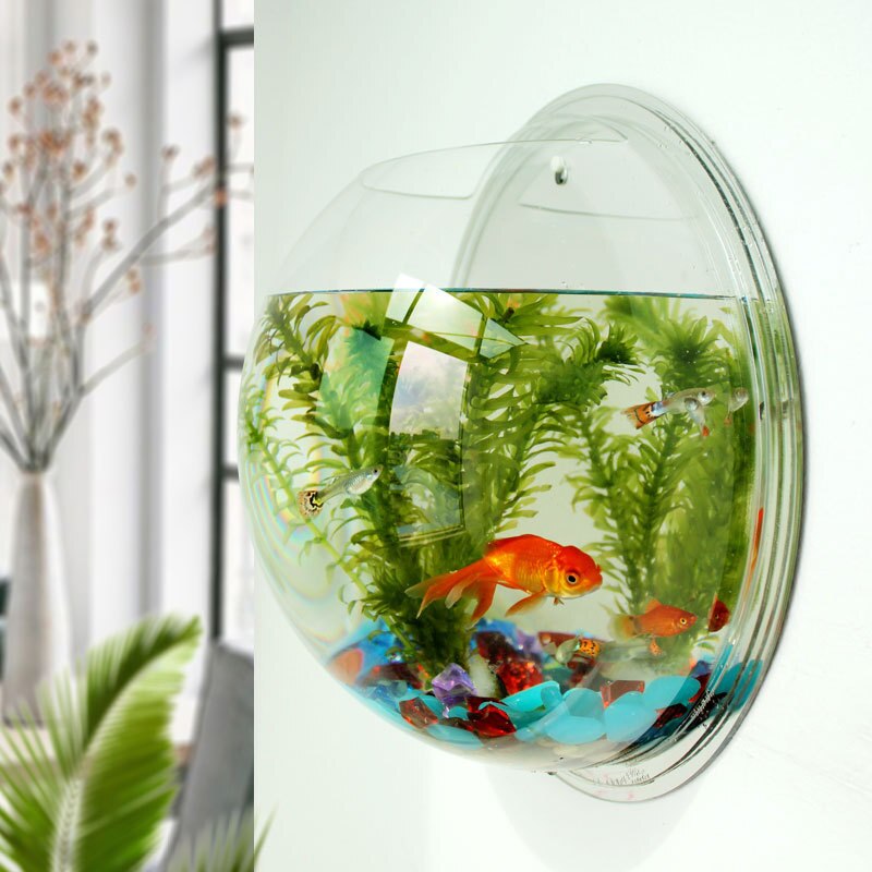 Mini Indoor Wall Hanging Aquarium Hanging Aquarium Ecological Living Room Wall Hanging Desk Acrylic Goldfish Tank: Round mirror  230mm