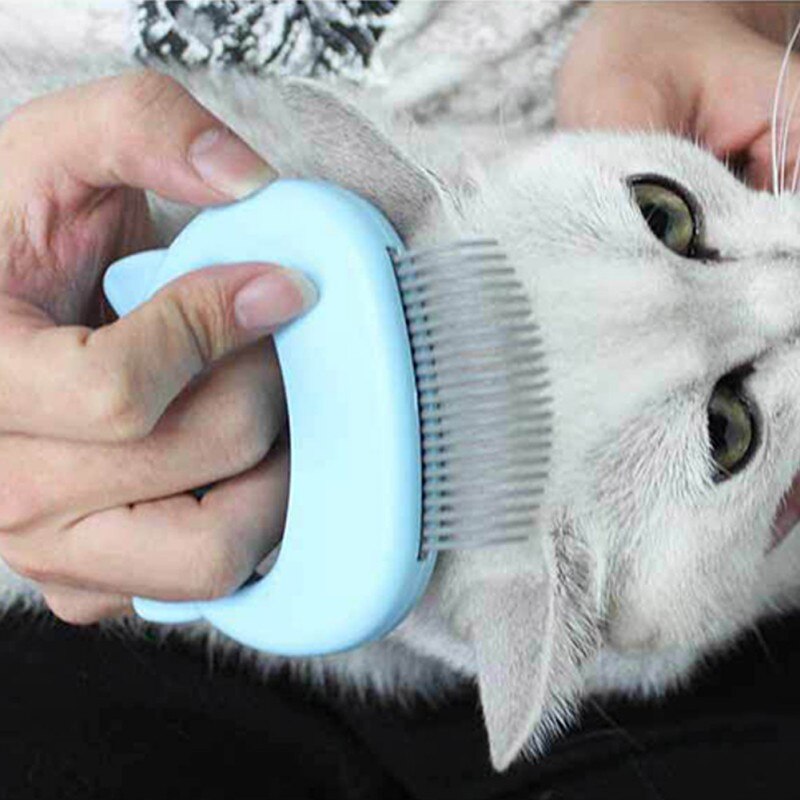 Huisdier Kat Grooming Massage Borstel Draagbare Pet Hair Remover Met Shell Vormige Handvat Haar Remover Pet Grooming Massage Gereedschap