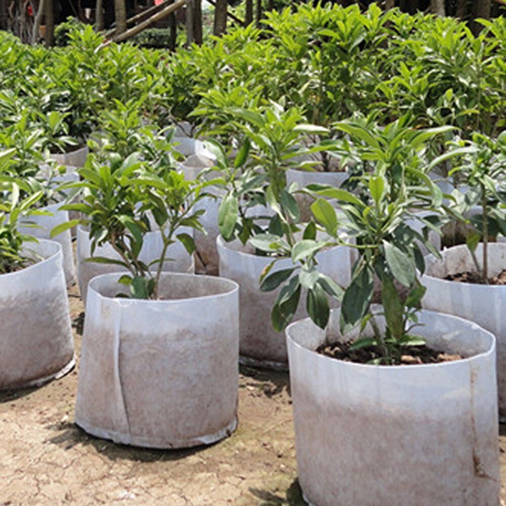 Bolsa redonda de tela blanca para planta de macetas, contenedor de raíces, bolsa de cultivo, contenedor de aireación, 7 tamaños, en oferta
