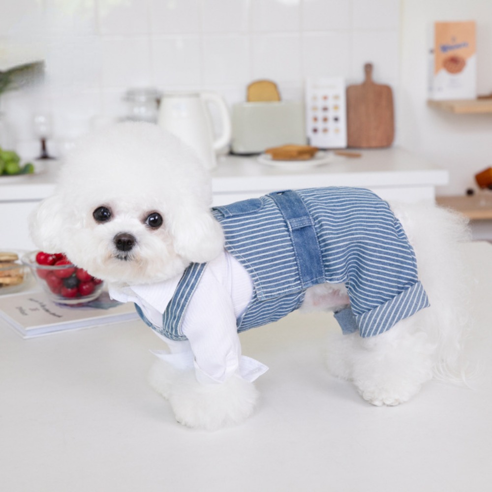 Huisdier Herfst Winter Gestreept Patchwork Denim Bandjes Hond Broek Kat Kleding Teddy Hondenkleding Huisdieren Puppykleding Jongen Hondenkleding