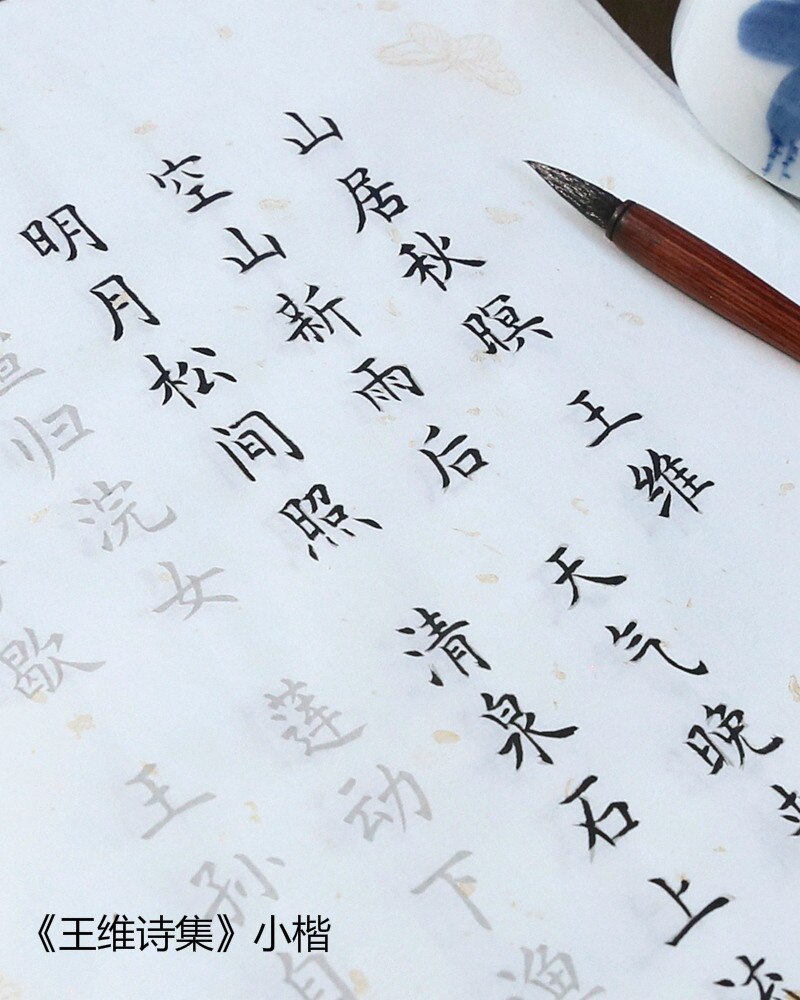 100 Pcs Kalligrafie Copybooks Calligraphie Xuan Papier Gedicht Schrift Beginner Chinese Kleine Reguliere Script Running Script Schrift: D