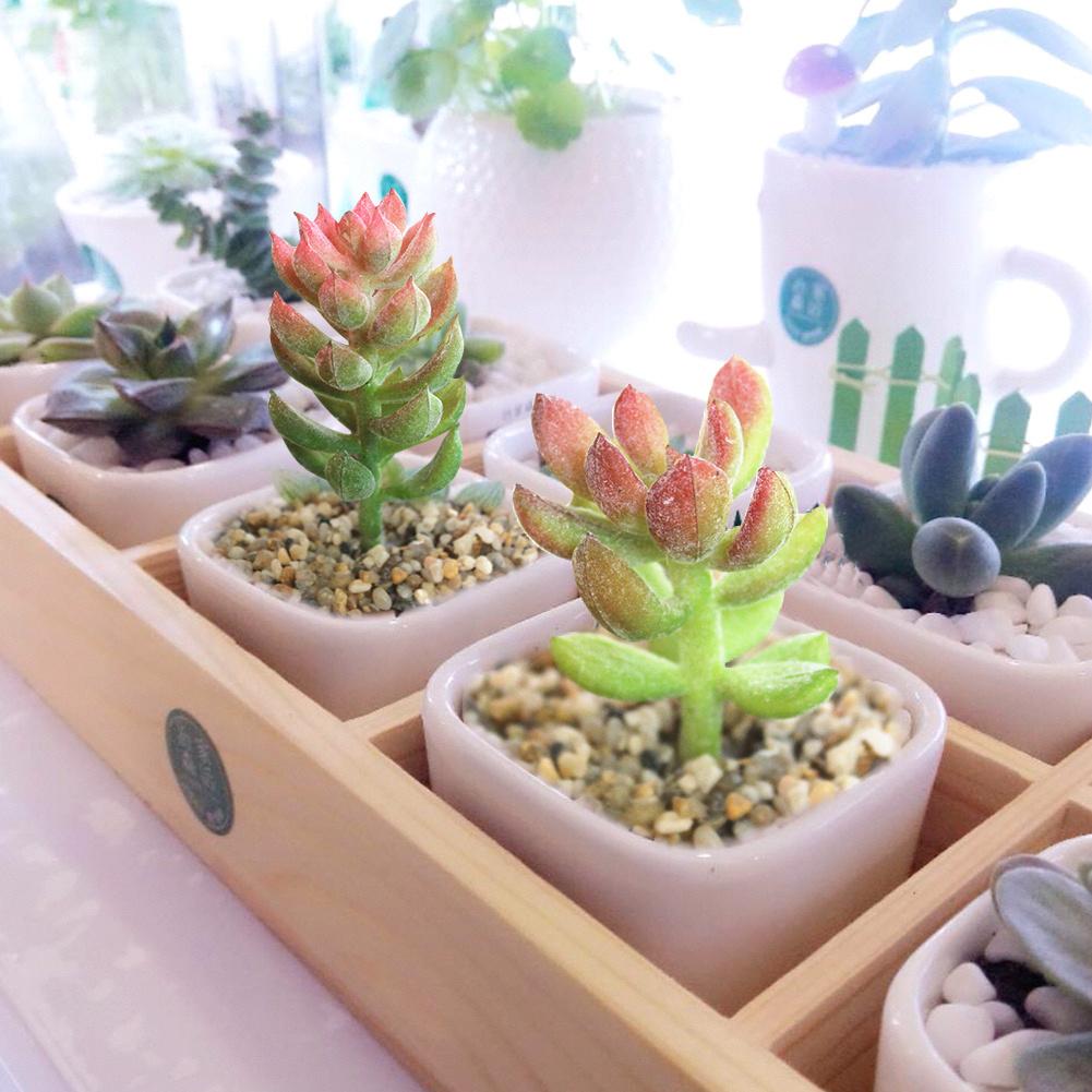 1pc miniatyr sukkulenter simulering mini diy plast kontor dekor hage hjem delikat bonsai blomster kunst tilbehør ornament