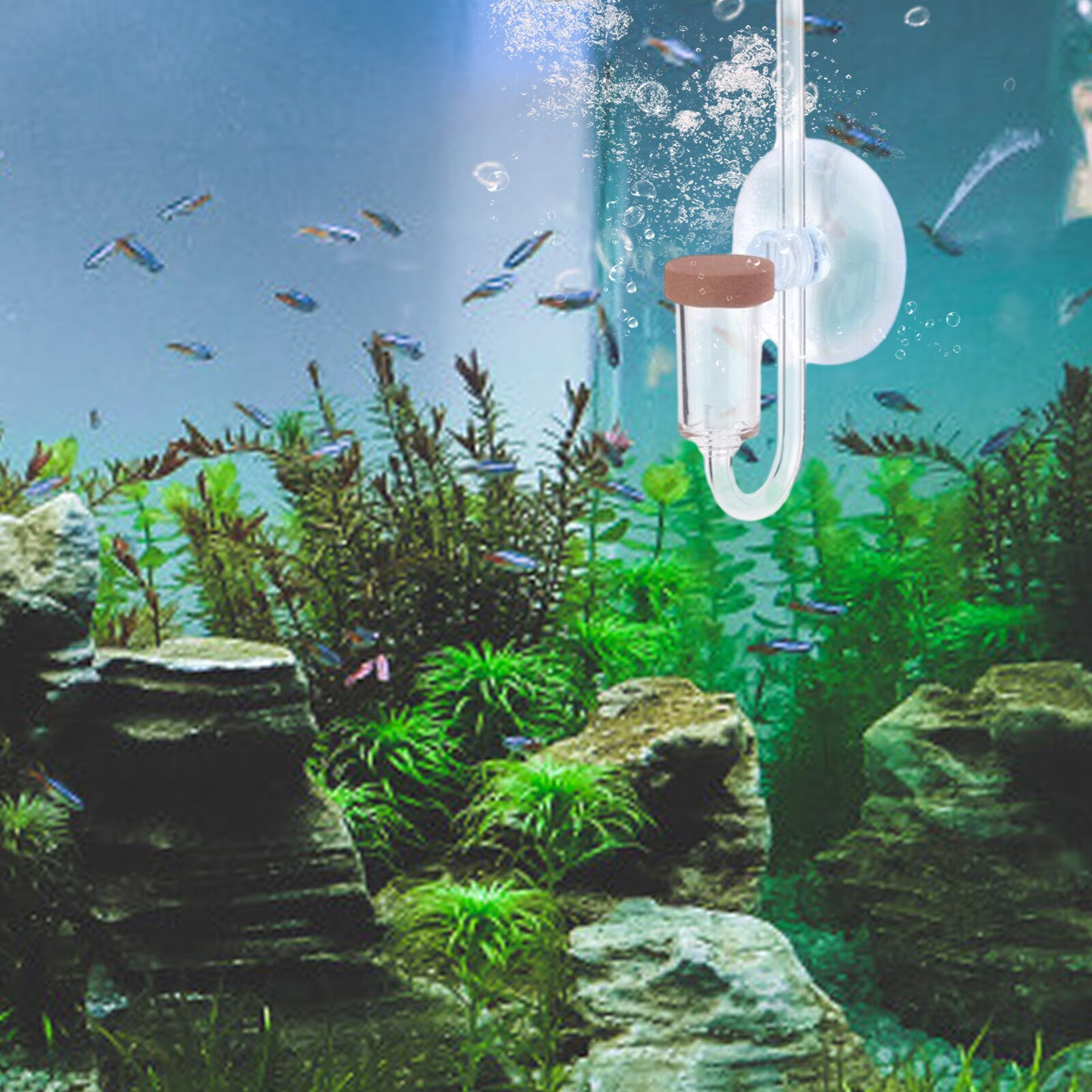 Acrylic Clear Aquarium CO2 Diffuser CO2 Dioxide Atomizer Check Valve Replacement Exchange Aquarium Plant Tank