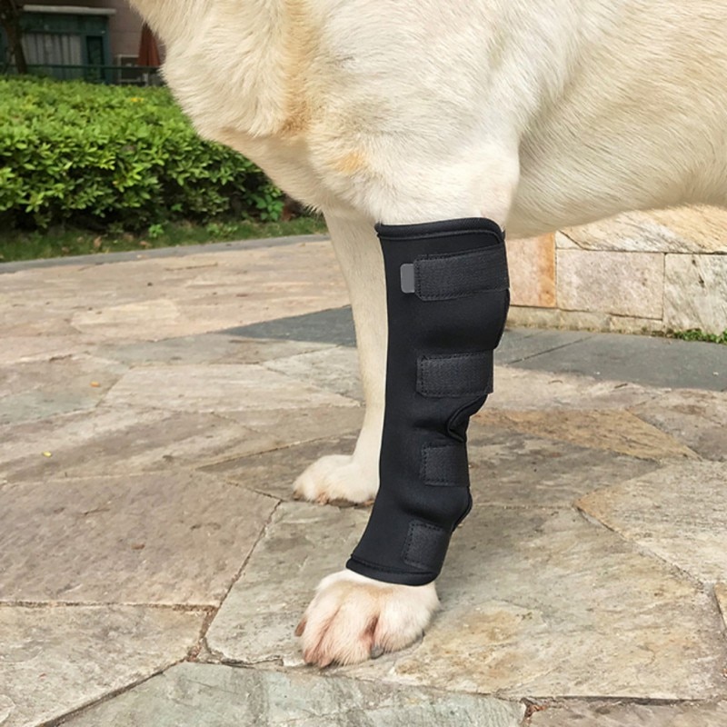 Dog Recovery Sleeve Pet Wounds Extra Supportive Dog Canine Rear Leg Hock Joint Wrap Protects Bandage Puppy Protect A