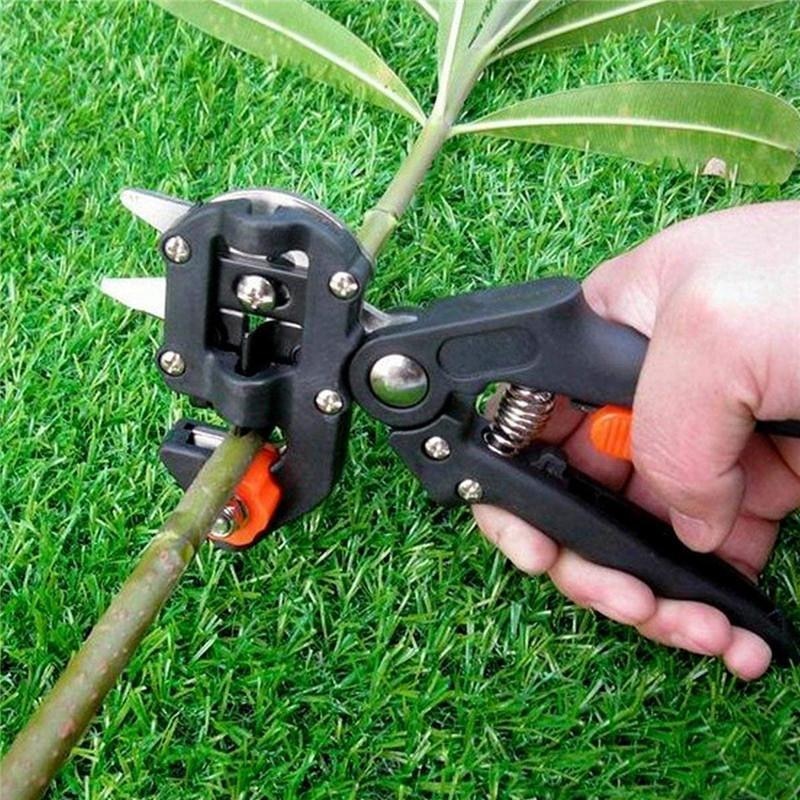 Cisaille et Outil de Greffe de Jardin , Sécateur de Branches, Taille de Plantes, Sécateurs, Cisailles de Greffes, Boîtier, Arbre Fruitier