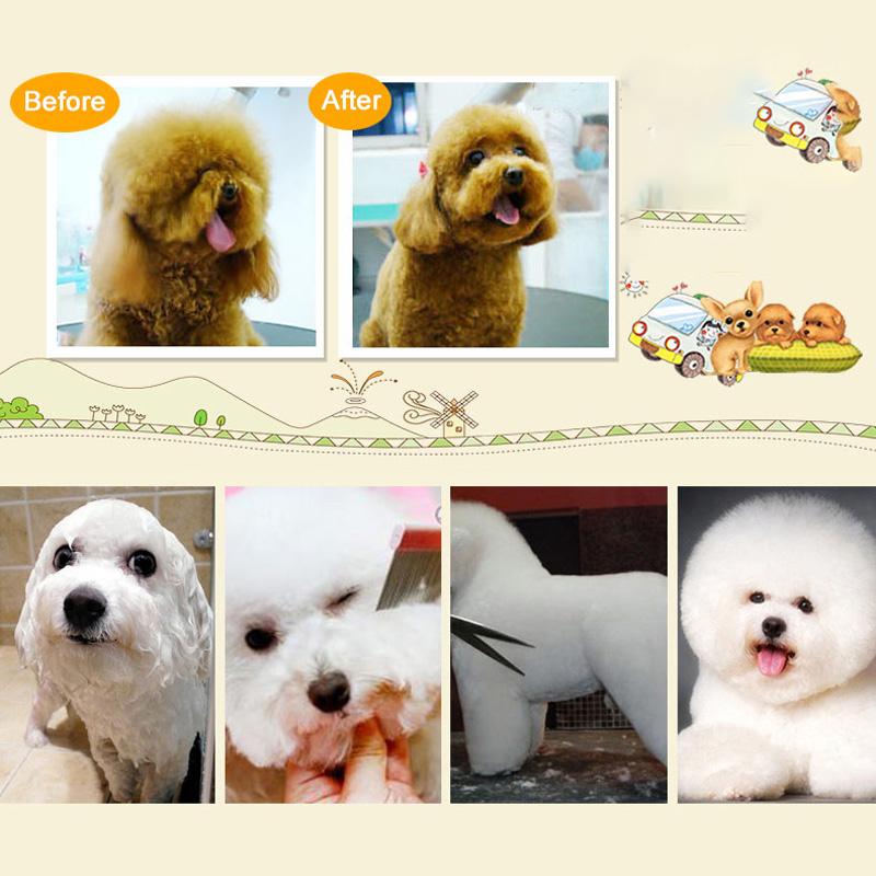 Hund hårklippare för hundar kattklippare uppladdningsbar rakapparat för djur hårklippningsmaskin hårklippning trimsats