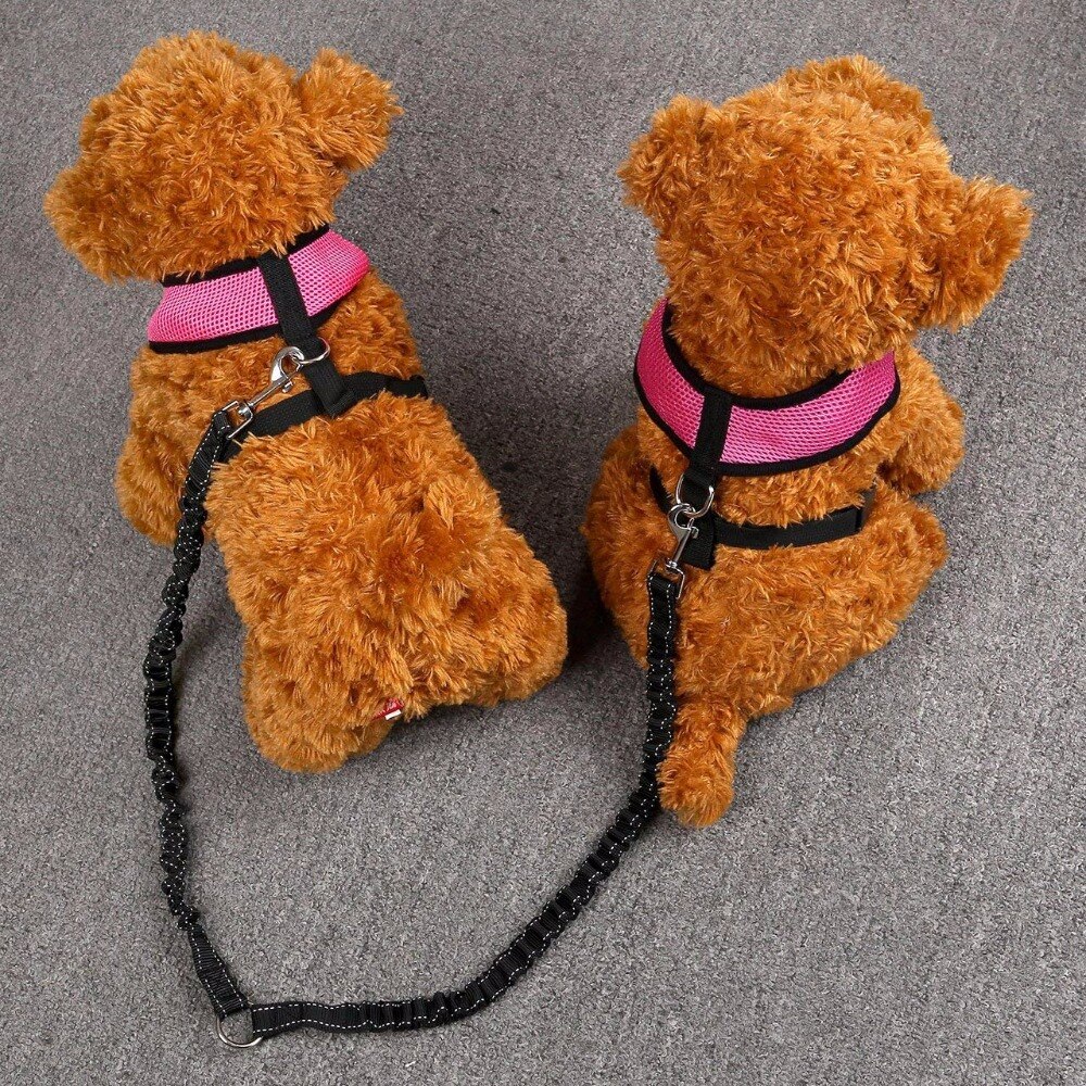 Laisse de chien sans emmêlage coupleur | Double chiot/grand chien, marcheur réglable, séparateur de laisse de plomb, formation de chiens bon marché