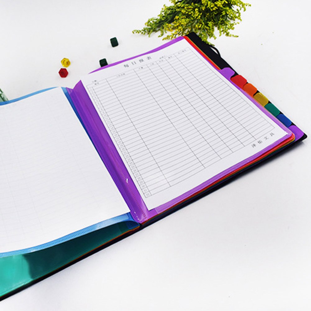 A4 12 Pages File Folders Rainbow Document Holder Organizer with Slash Pockets PP Material UY8