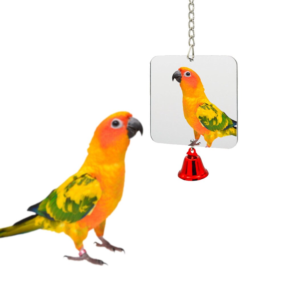 Espejo de juguete para mascotas de 8 estilos, divertido para juguete cacatúas, loros, juguetes pequeños de pájaros y loros, loro mascota accesorios para escalar: Black