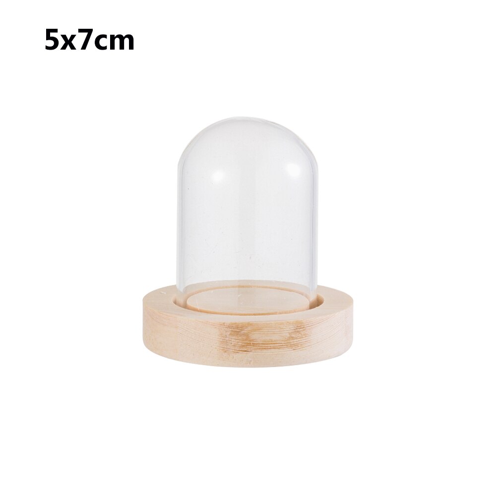 1Pcs Sferische Glas Cloche Jar Display Stand Cover Terrarium Fles Met Houten Base Acryl Stofkap Display Box Bloem doos: 5x7cm with base