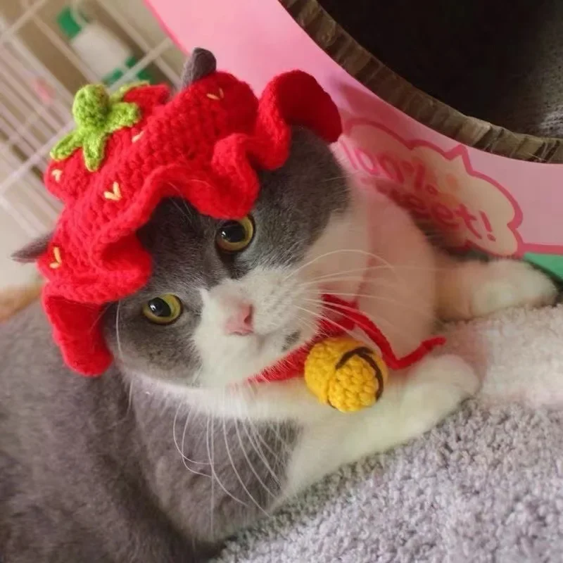 Gorro de punto elástico para gato, accesorio refinado para mascota, cachorro, gatitos, , sesión de fotos, decoración, Otoño e Invierno: Azul marino