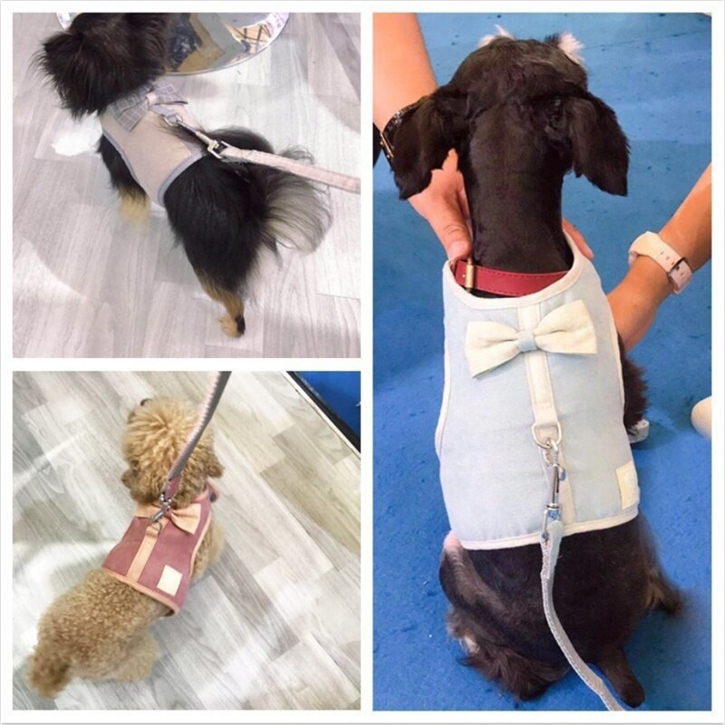 Kæledyrs-sløjfe kat hundesele tøj grundlæggende krave seler brystrem justerbar mesh lille hvalp killing sele snor forsyninger